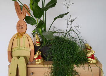 Unser Team freut sich über süße Osterhasen